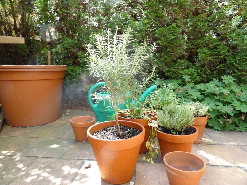 Garden Apartment On Art Nouveau Street In Central פראג מראה חיצוני תמונה